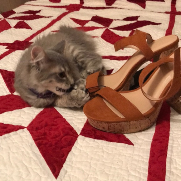 Tan heals 😍 - Picture 2 of 6